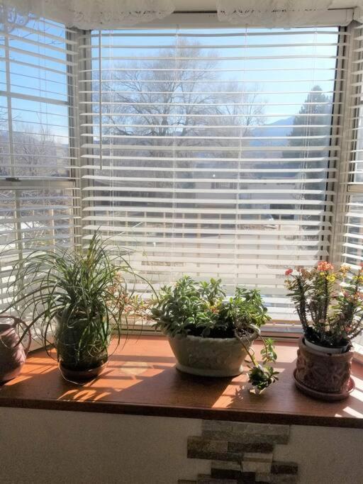 Your Home In Colorado Springs Bagian luar foto